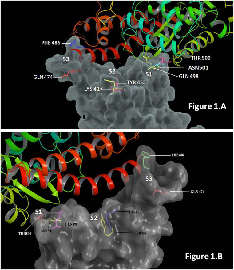 Fig. 1