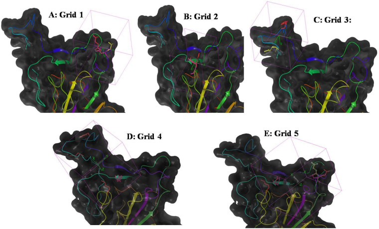 Fig. 2