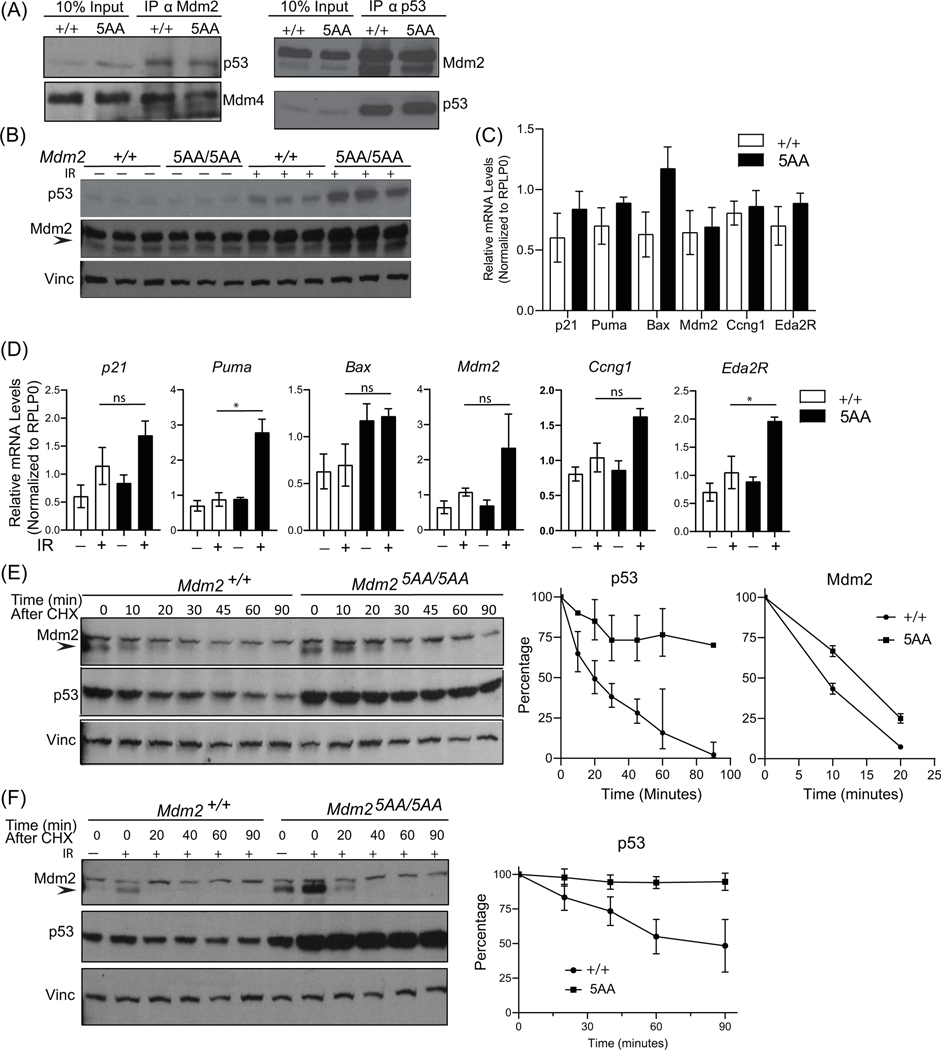 Figure 2: