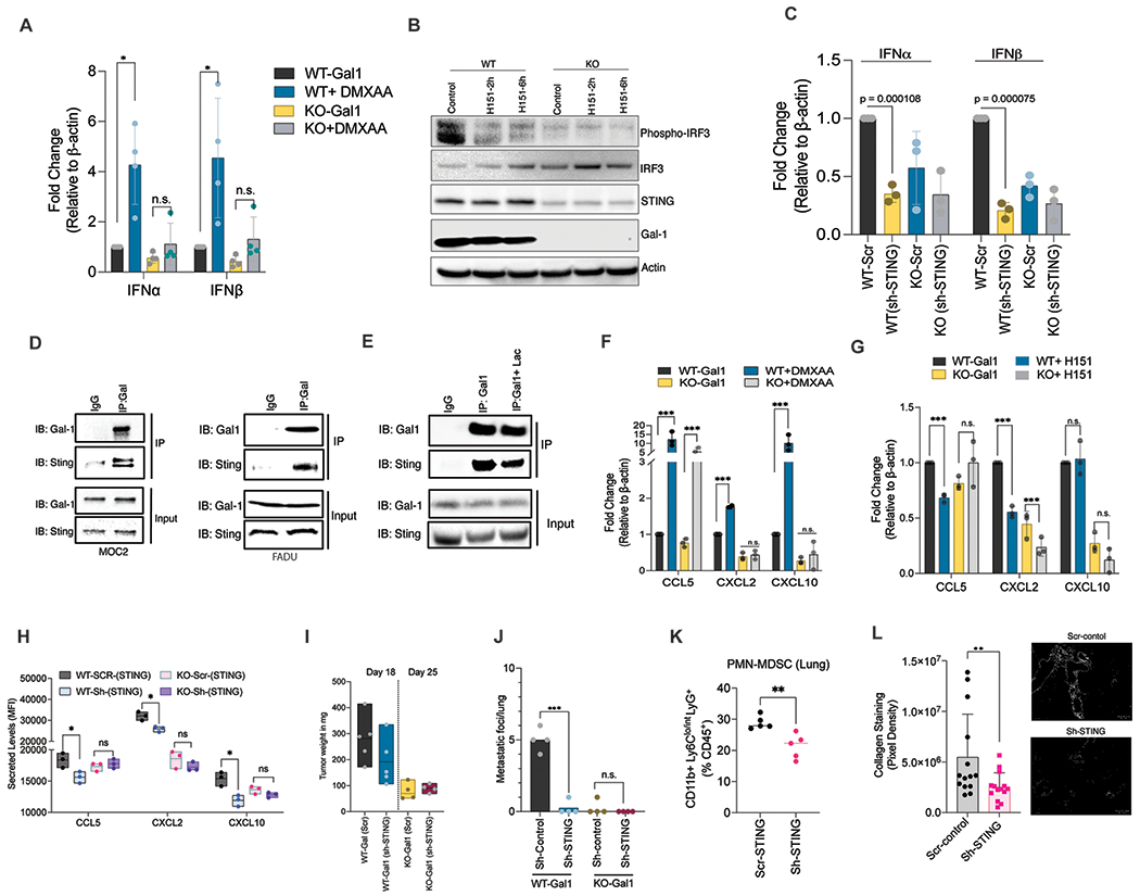 Fig. 6: