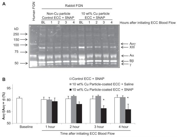 Fig. 10