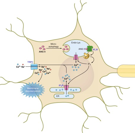 Fig. 8.