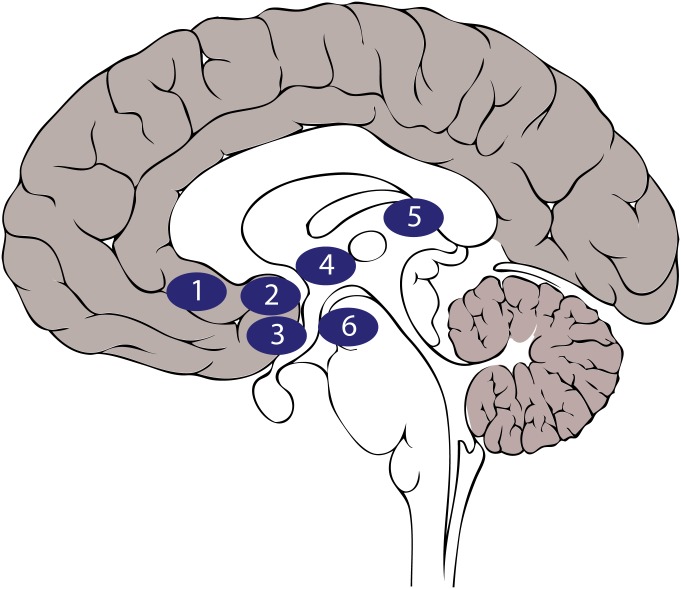 Fig. 1.