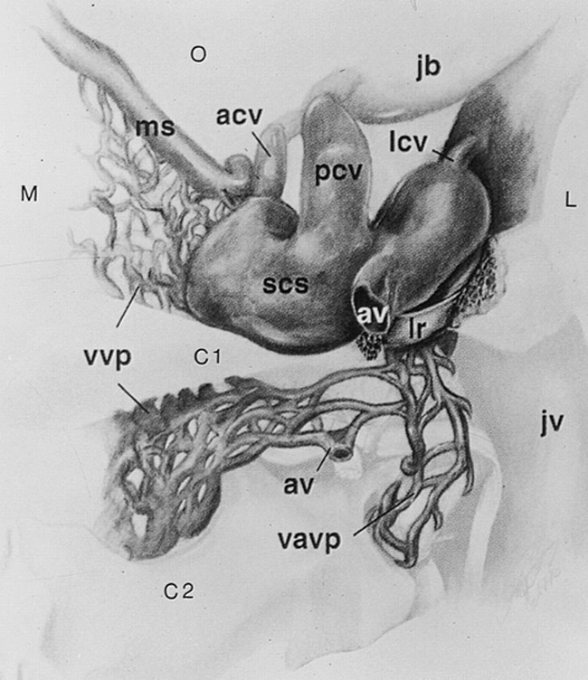 fig 1.