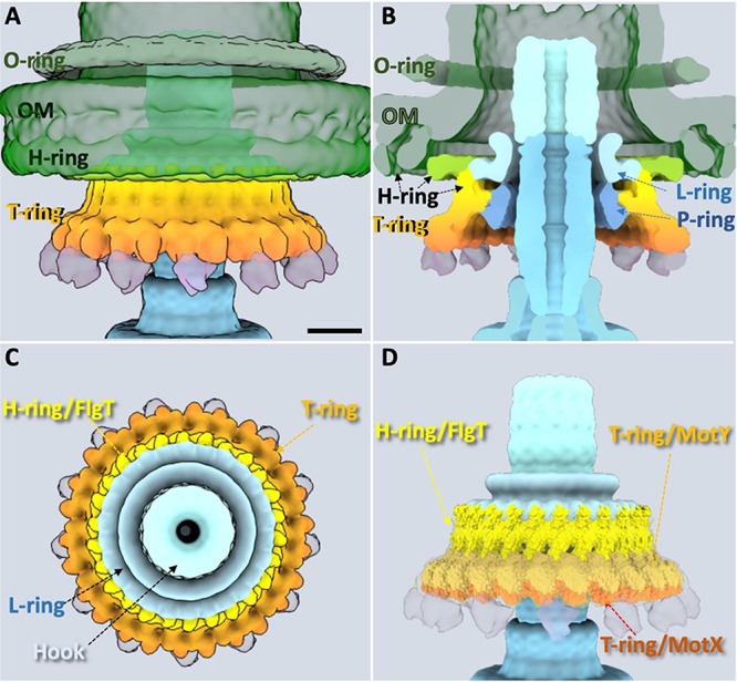 FIG 2