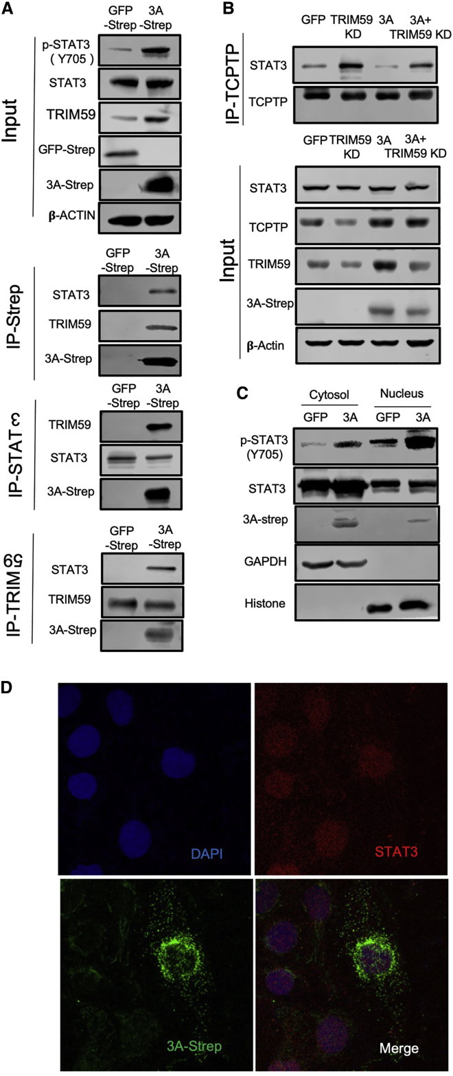 Figure 3