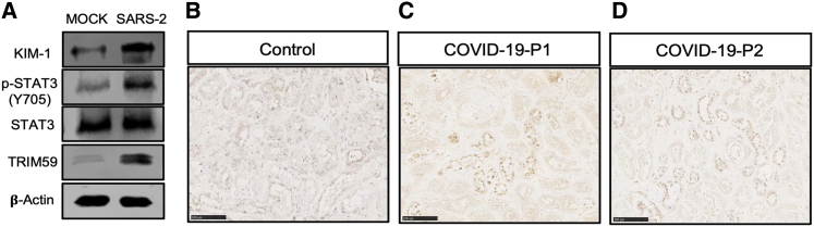 Figure 5