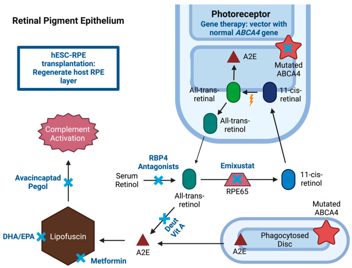 Figure 2