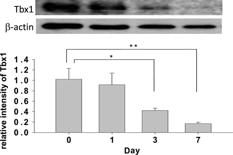 Figure 5.