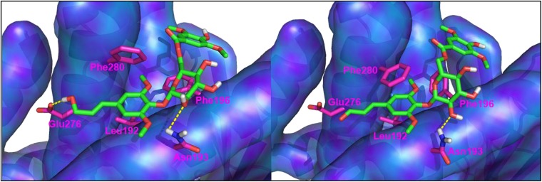 Fig. 3.