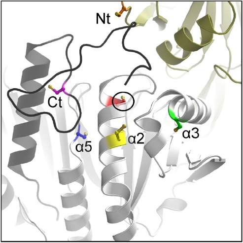 Fig. 5.