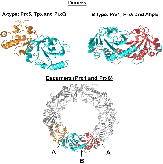 Fig. 6.