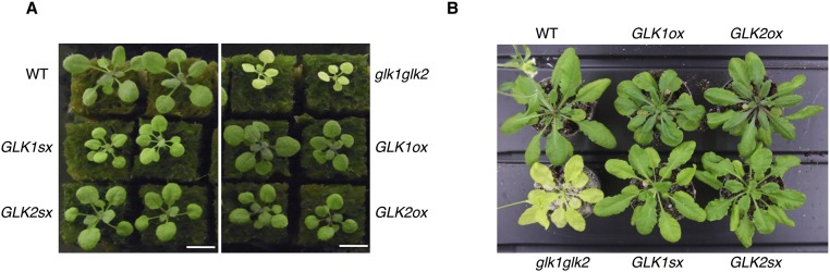 Fig. S6.