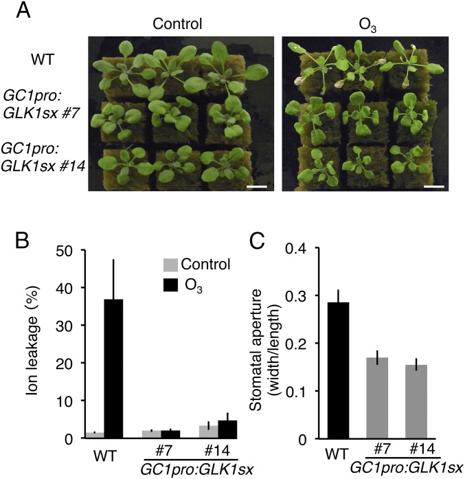 Fig. 4.