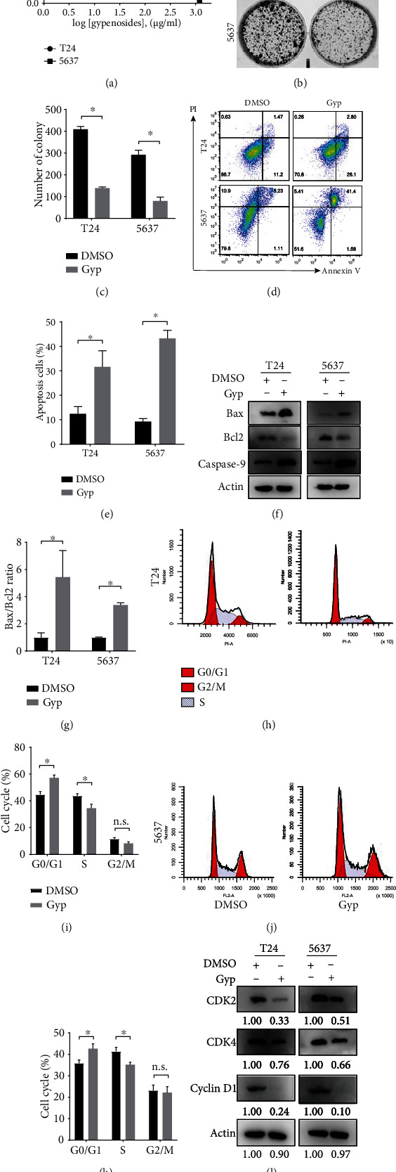 Figure 5