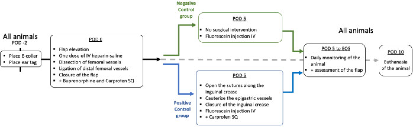 Figure 6: