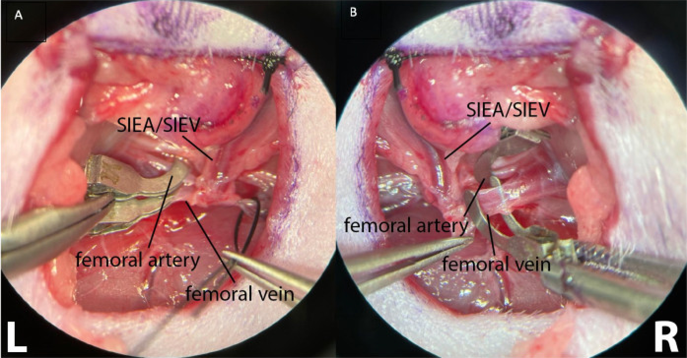 Figure 4: