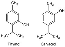 graphic file with name pharmaceuticals-18-00267-i001.jpg