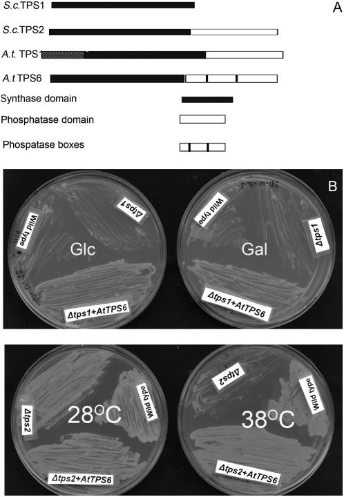 Figure 4.