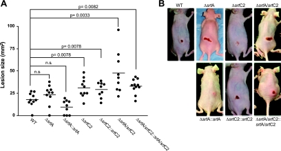 FIG. 10.