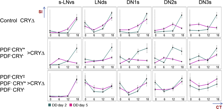 Figure 4