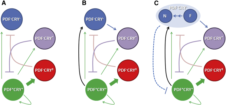 Figure 2