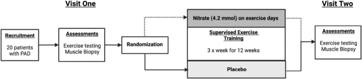 FIGURE 1