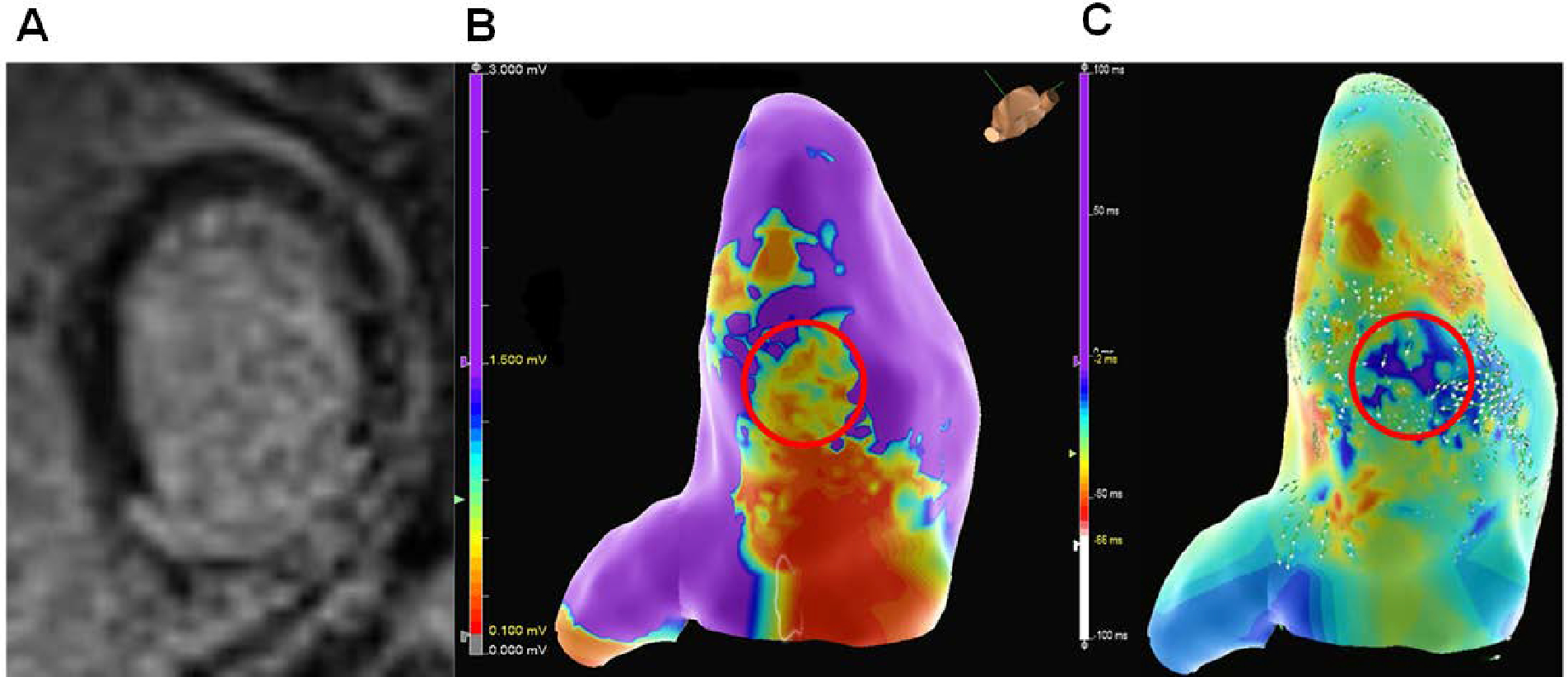 Figure 2: