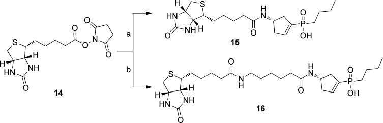 Scheme 3