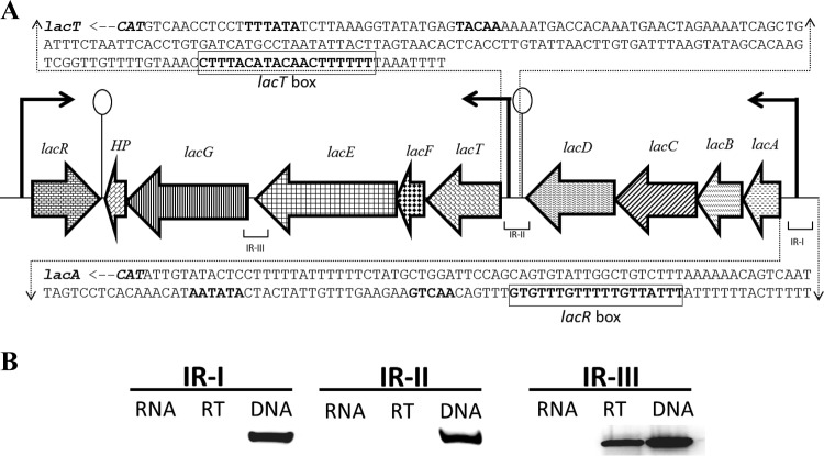 FIG 1