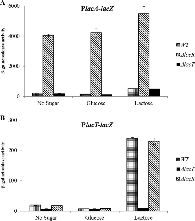 FIG 3