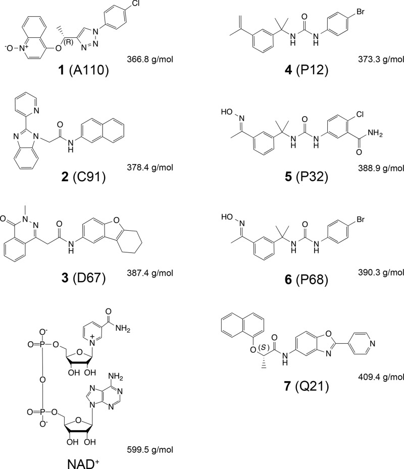 FIGURE 3.