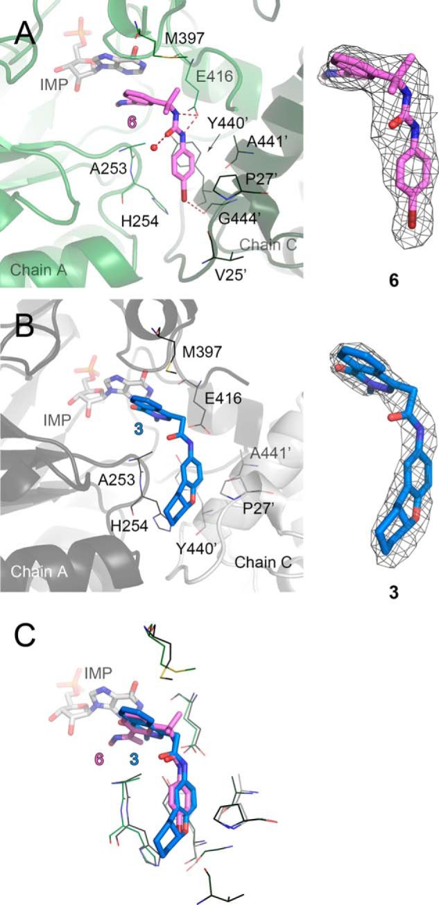 FIGURE 6.