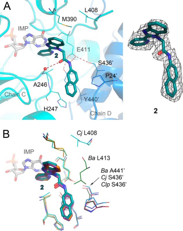 FIGURE 5.