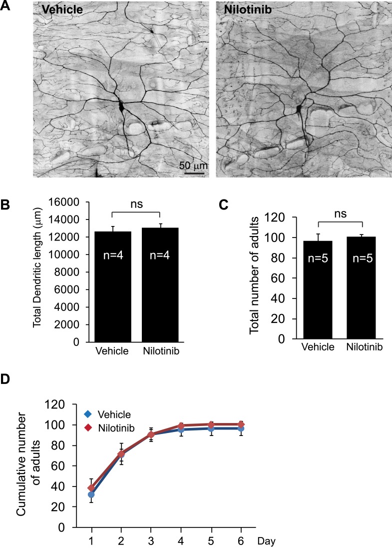 Figure 4—figure supplement 2.