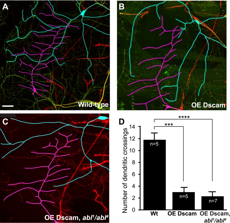 Figure 1—figure supplement 3.