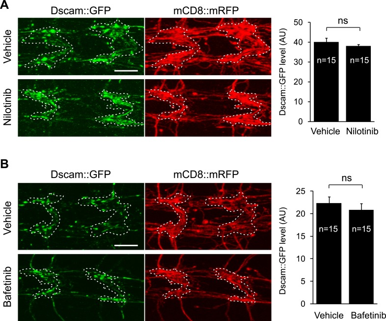 Figure 4—figure supplement 1.