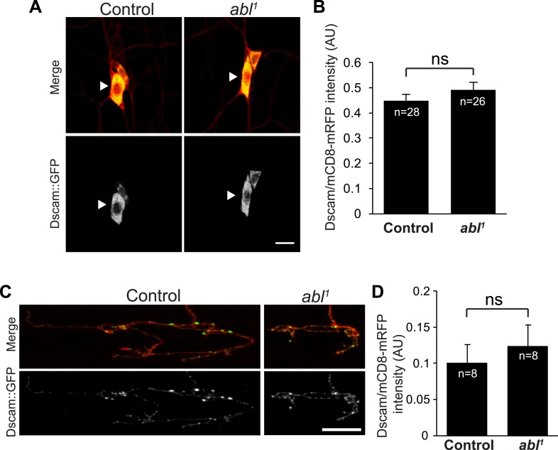 Figure 1—figure supplement 1.