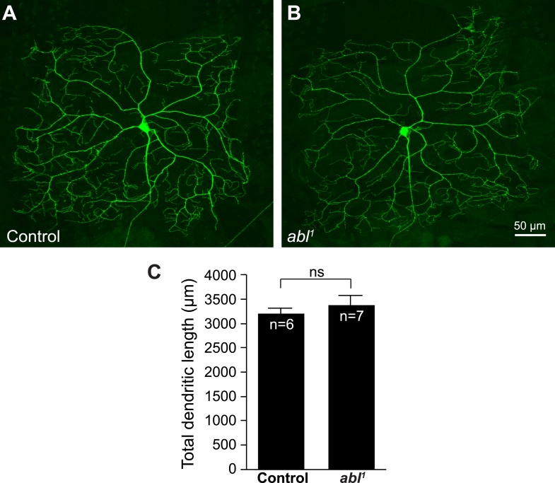 Figure 1—figure supplement 2.