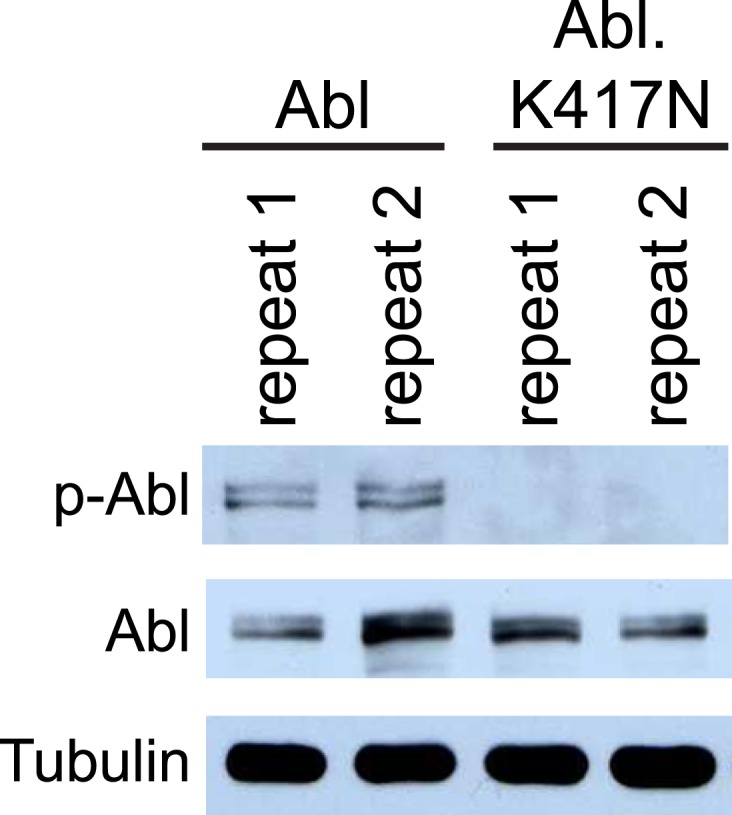 Figure 3—figure supplement 1.