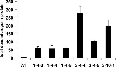 Figure 7.