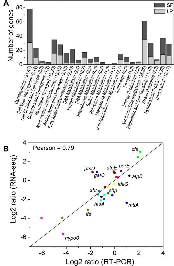 FIG 2