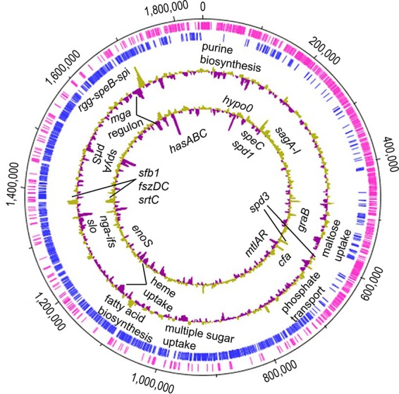 FIG 1