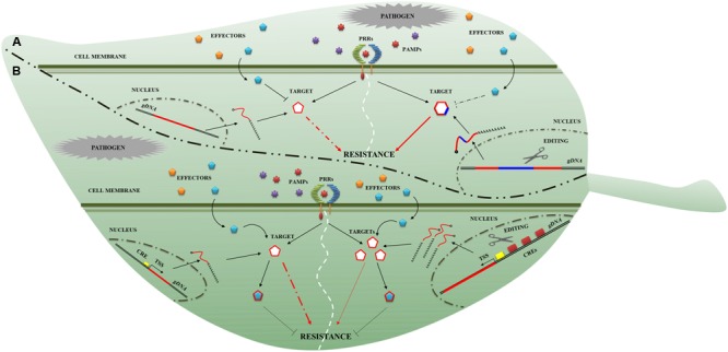 FIGURE 2