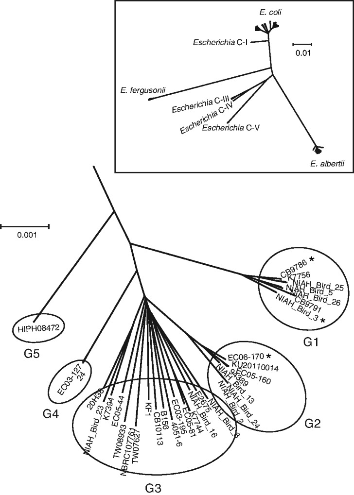 Fig. 2.—