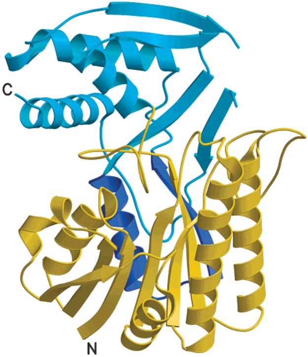 FIGURE 4