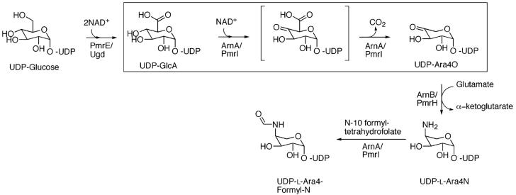 FIGURE 1