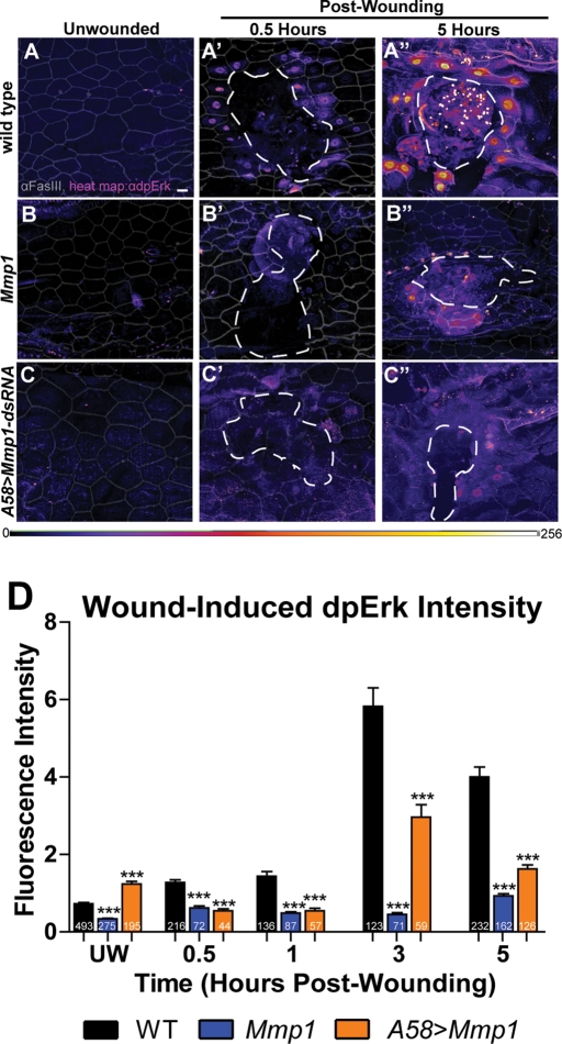 FIGURE 6: