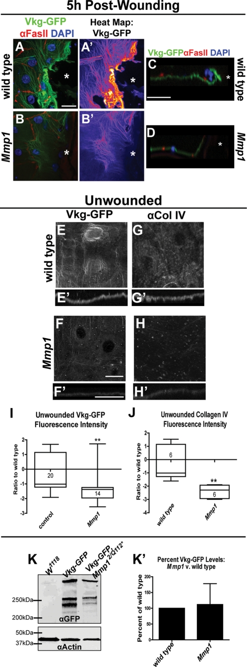 FIGURE 4: