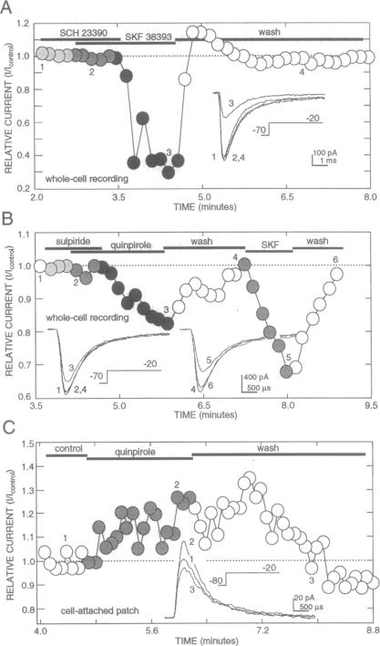 graphic file with name pnas01095-0215-a.jpg